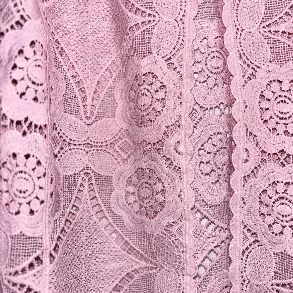 Rabbit Rabbit Rabbit Delicate Pink Lace Blouse - Picture 8 of 15